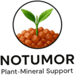 росток і мінерали